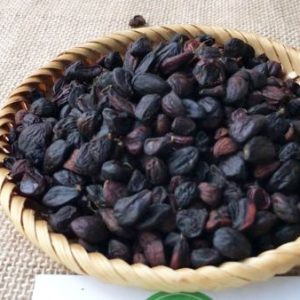 Hạt Dổi Rừng Tây Bắc